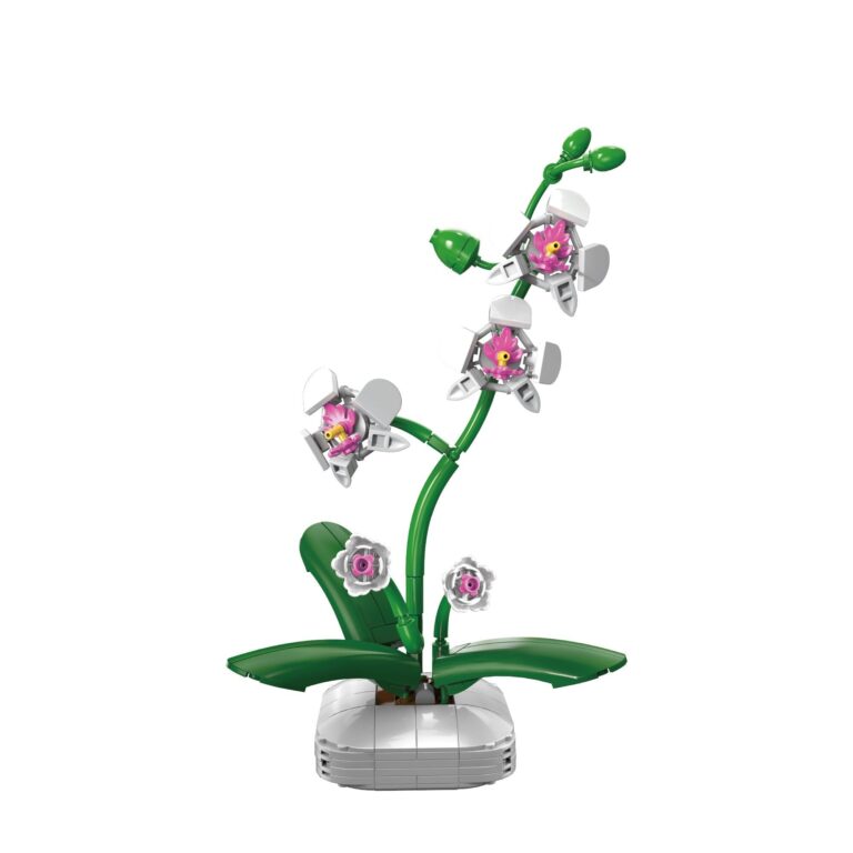 CaDA Orchid C59028W